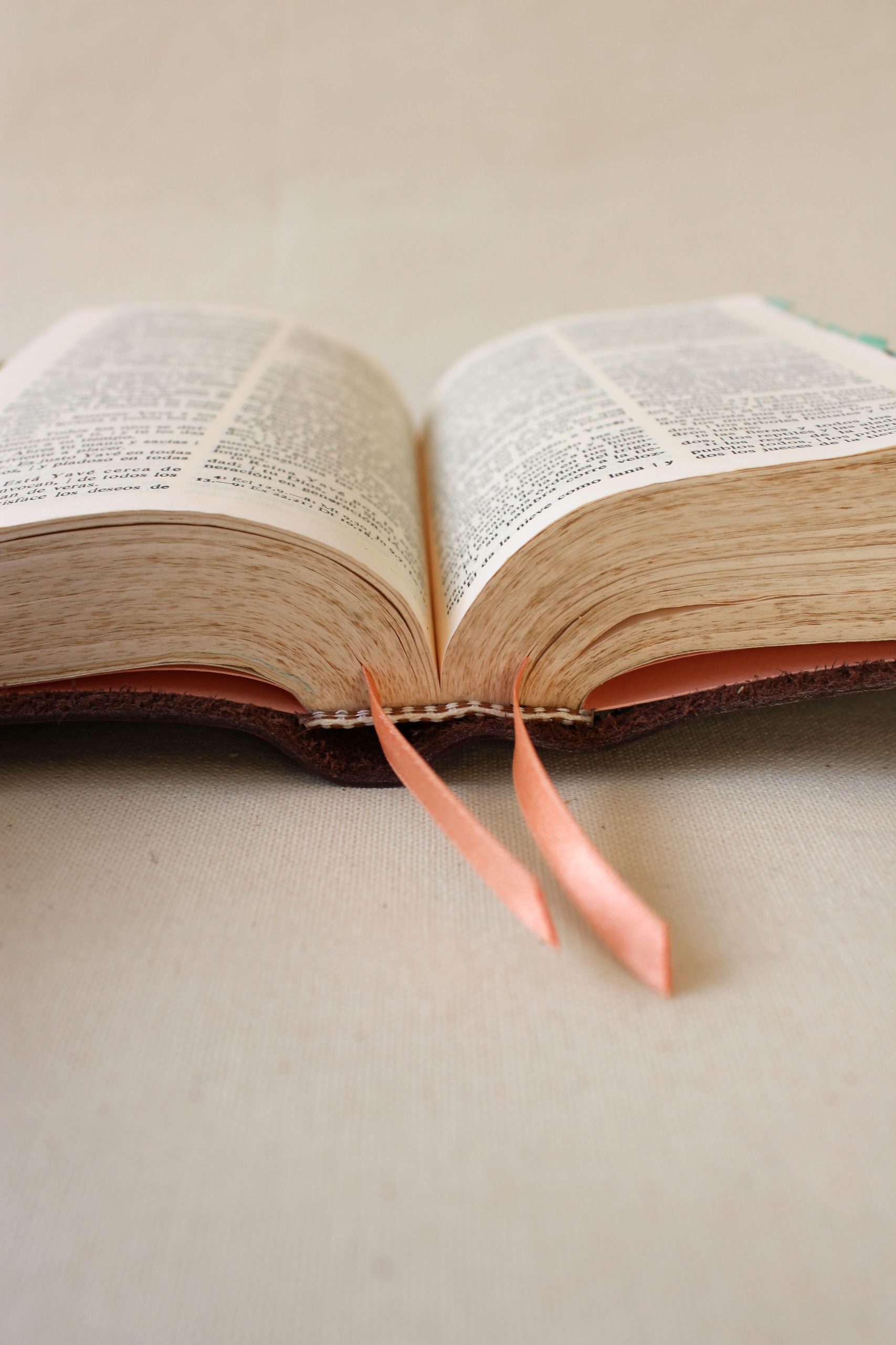 CUBIERTA RUT BIBLIA PEQUEÑA - Imagen 10