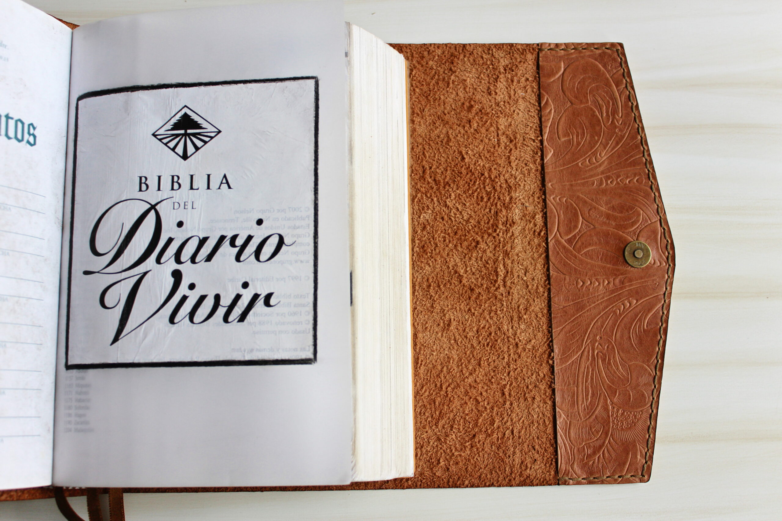 CUBIERTA ANA BIBLIA GRANDE - Imagen 8