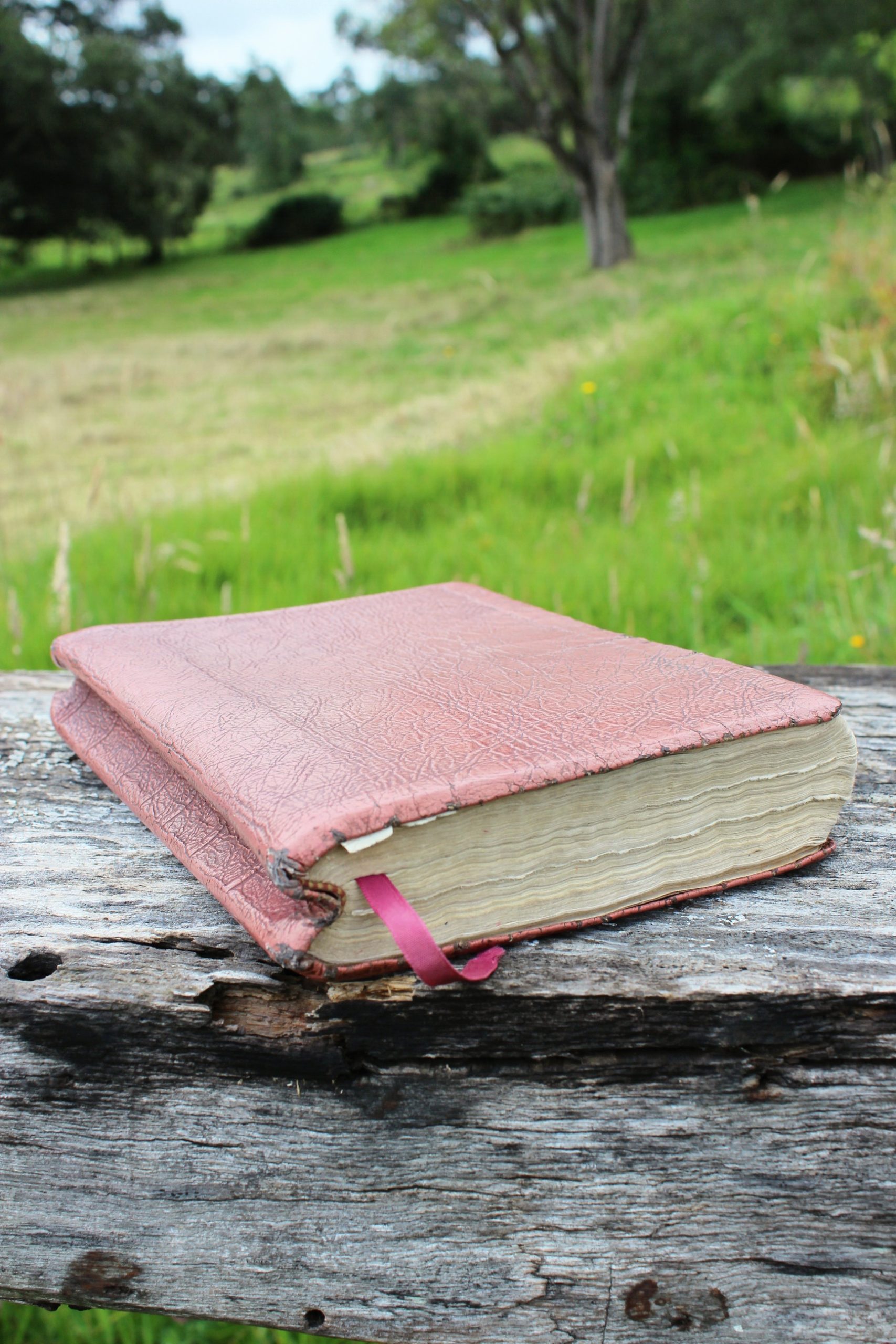 CUBIERTA JEREMÍAS BIBLIA GRANDE - Imagen 8