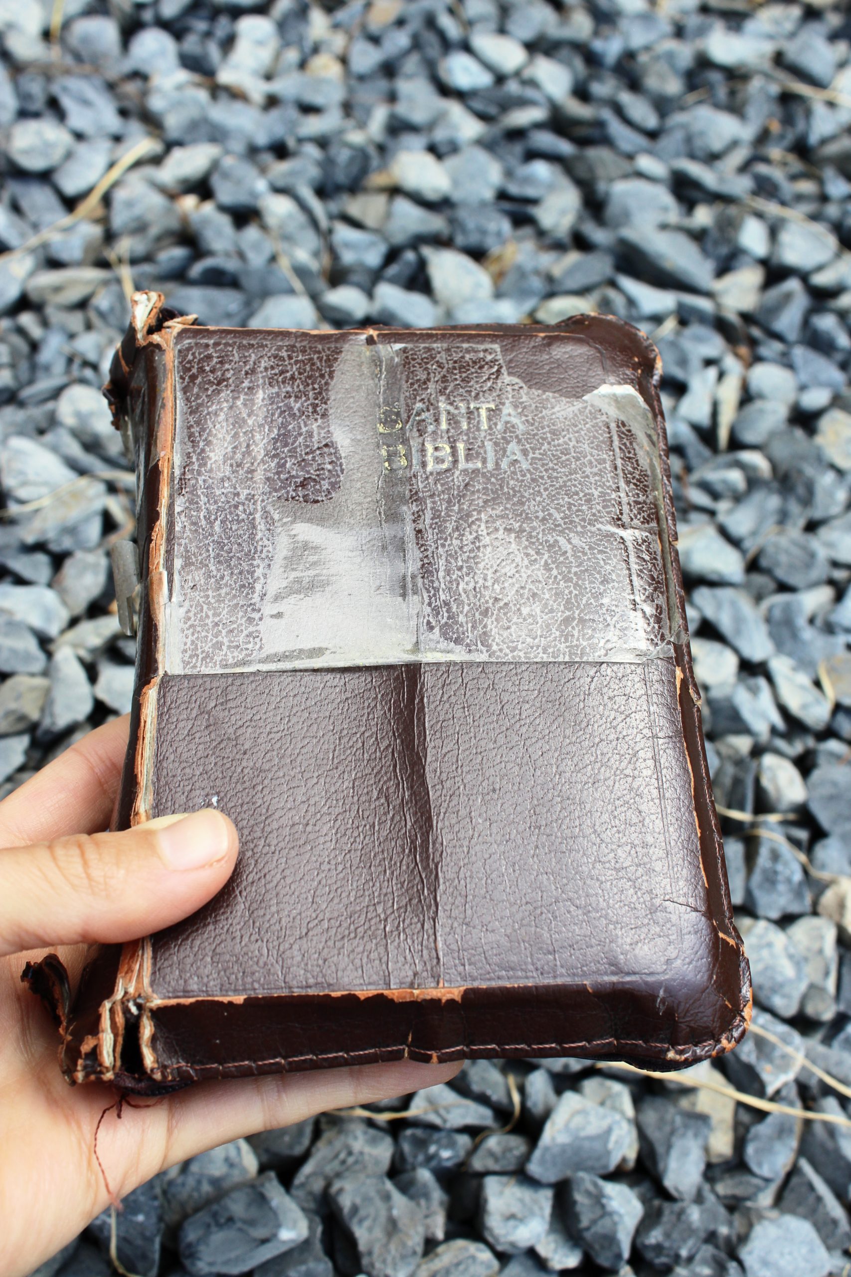 CUBIERTA ANA BIBLIA PEQUEÑA - Imagen 12