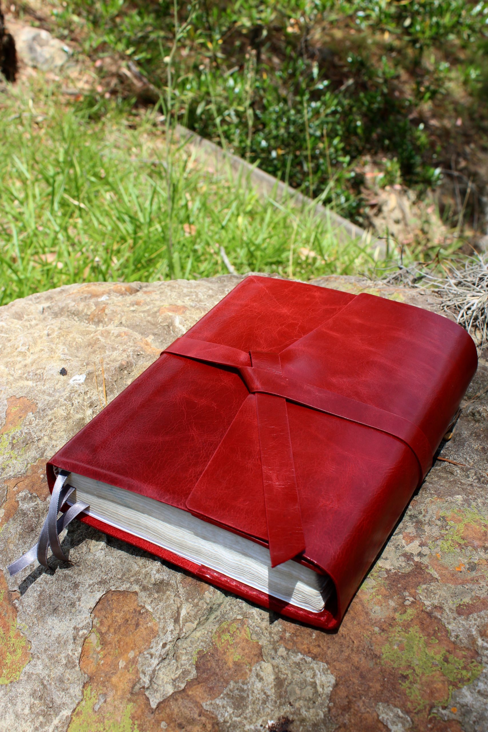CUBIERTA RUT BIBLIA GRANDE - Imagen 8