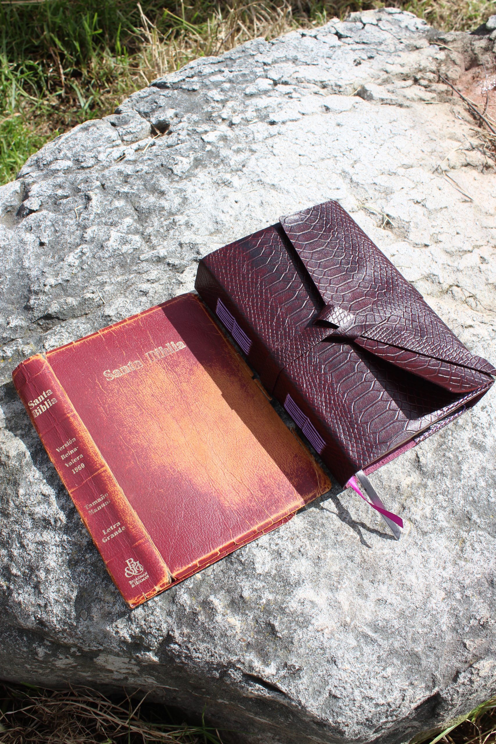 CUBIERTA RUT BIBLIA GRANDE - Imagen 6