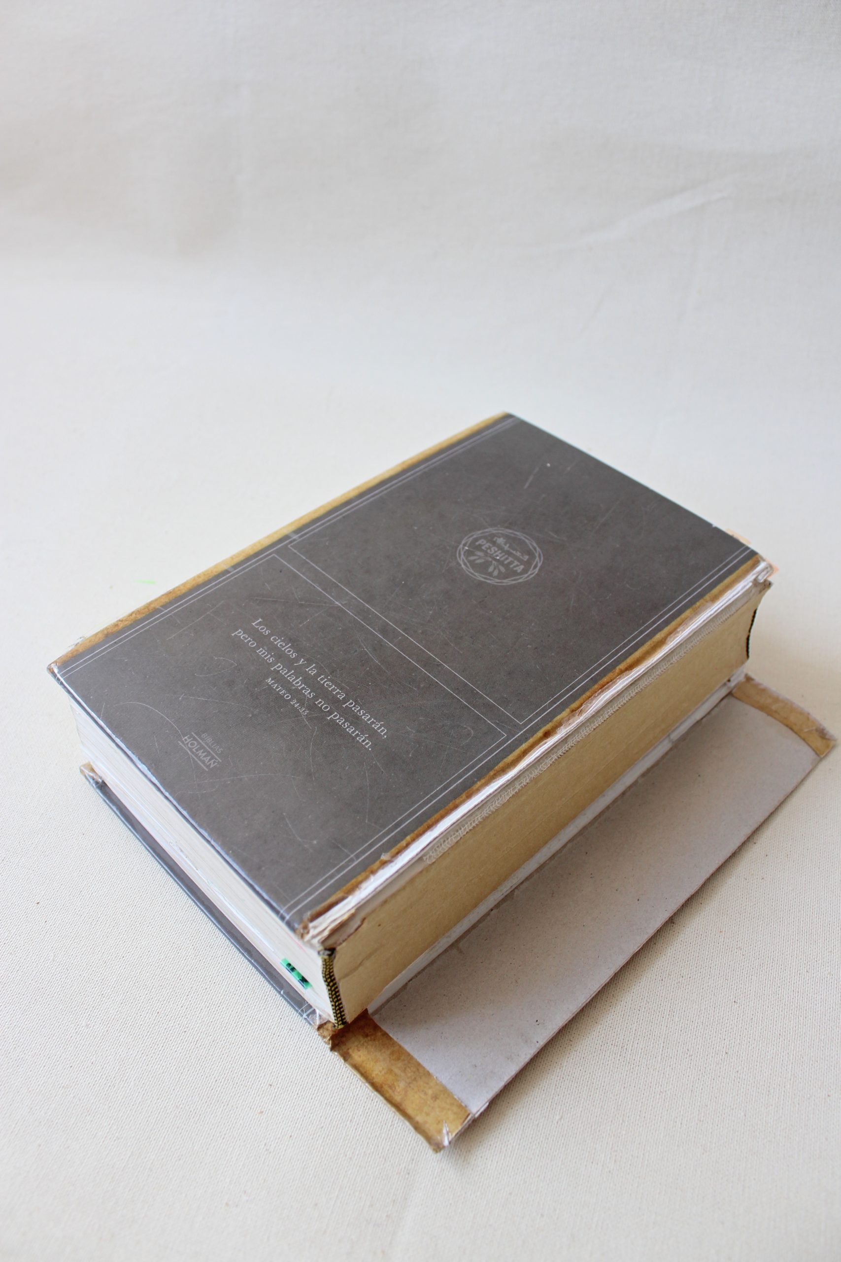 CUBIERTA PESHITTA 1 BIBLIA GRANDE - Imagen 11