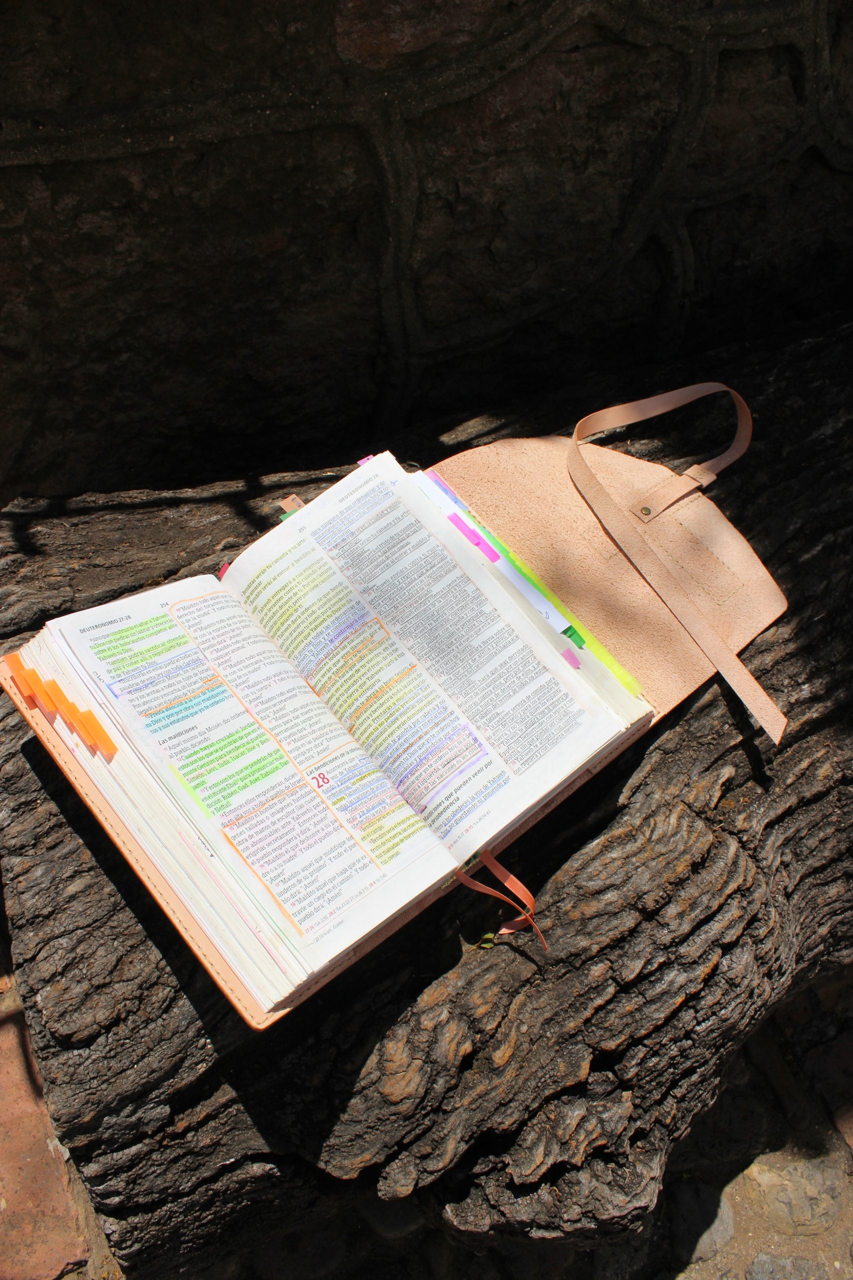 CUBIERTA PESHITTA 1 BIBLIA GRANDE - Imagen 6