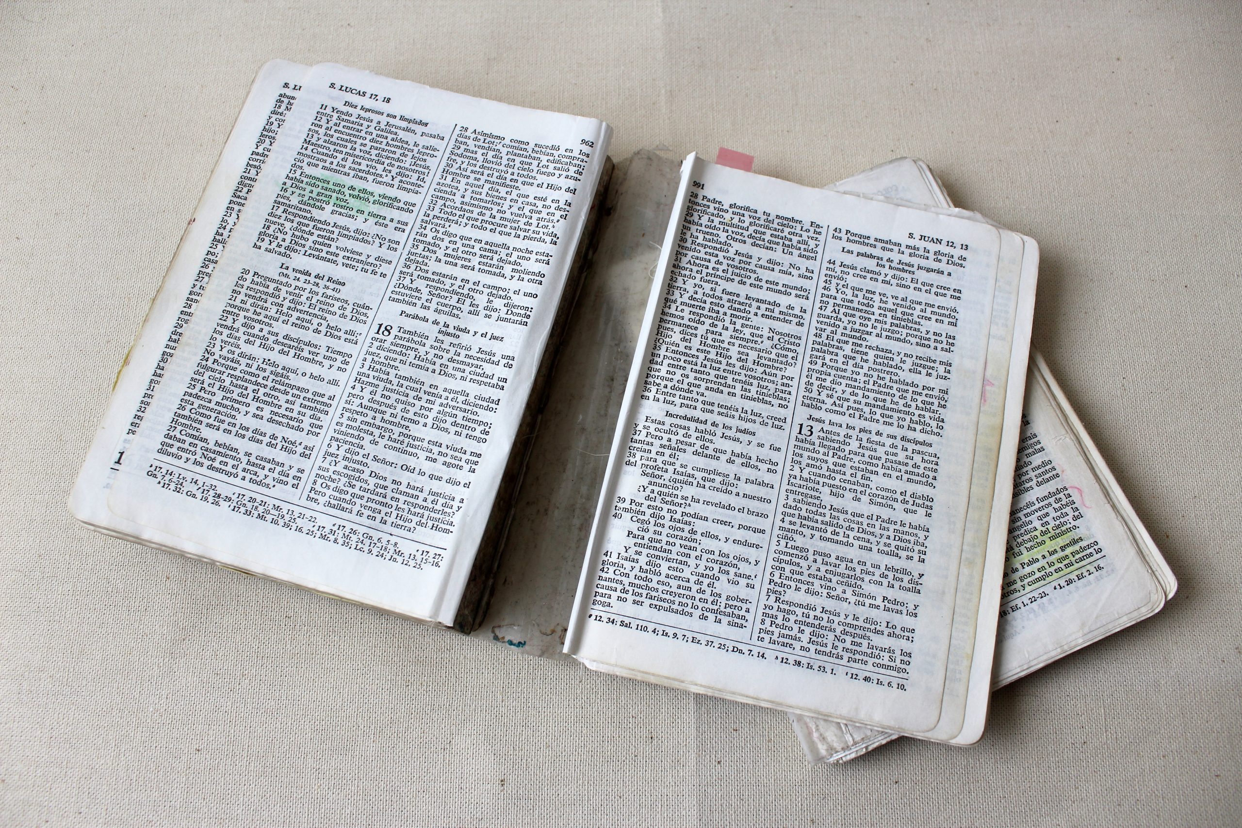 CUBIERTA ANA BIBLIA PEQUEÑA - Imagen 7