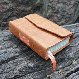 CUBIERTA ANA BIBLIA PEQUEÑA