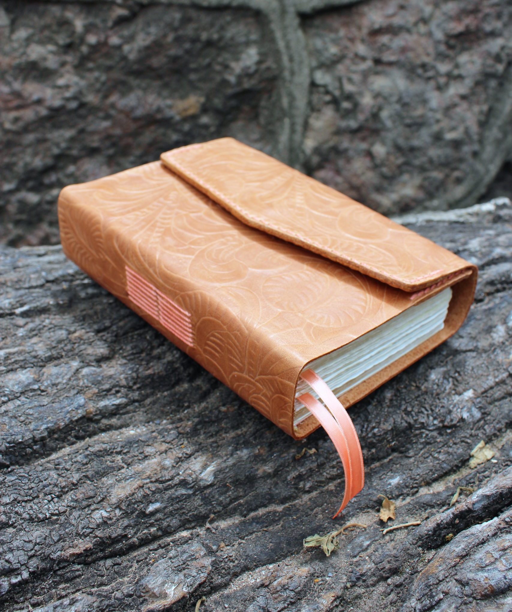 CUBIERTA ANA BIBLIA PEQUEÑA