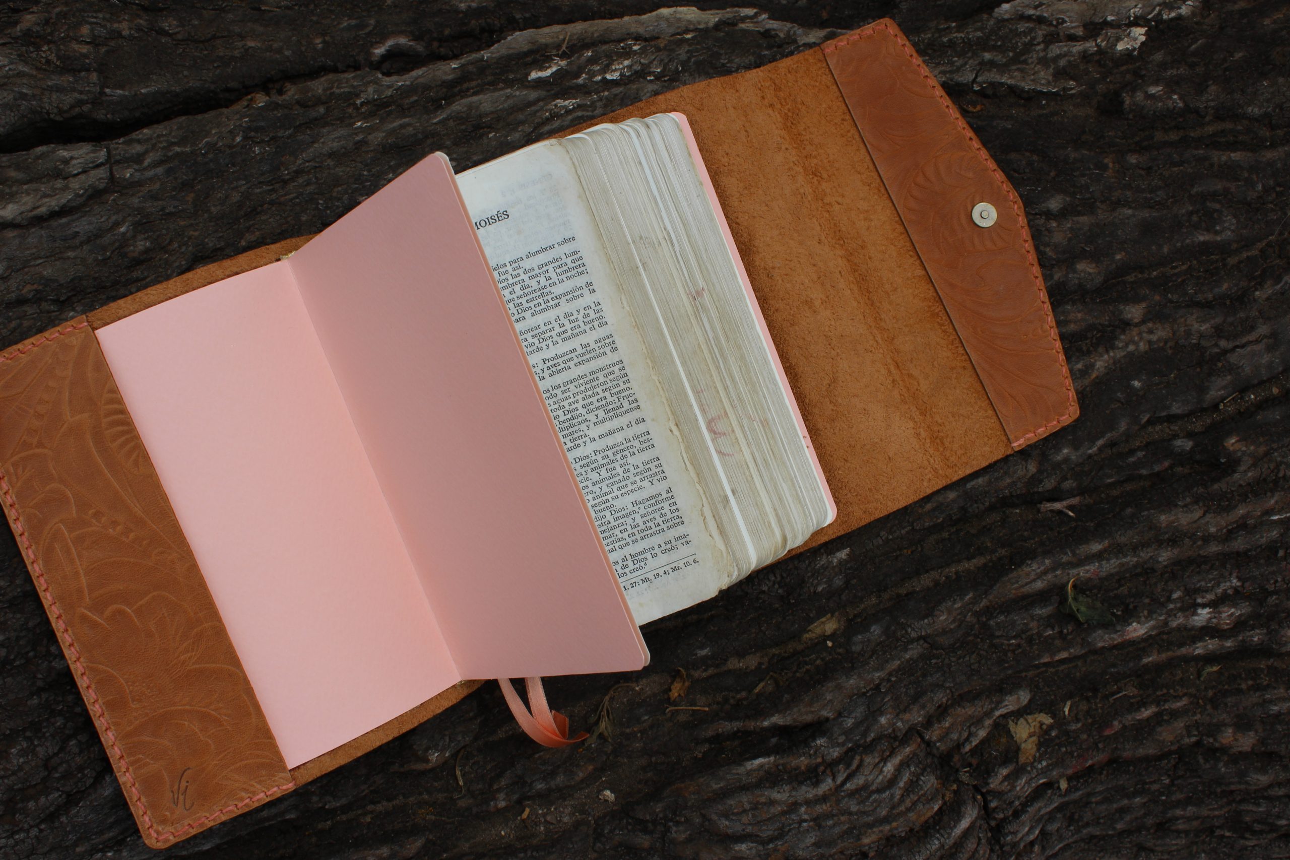 CUBIERTA ANA BIBLIA PEQUEÑA - Imagen 5