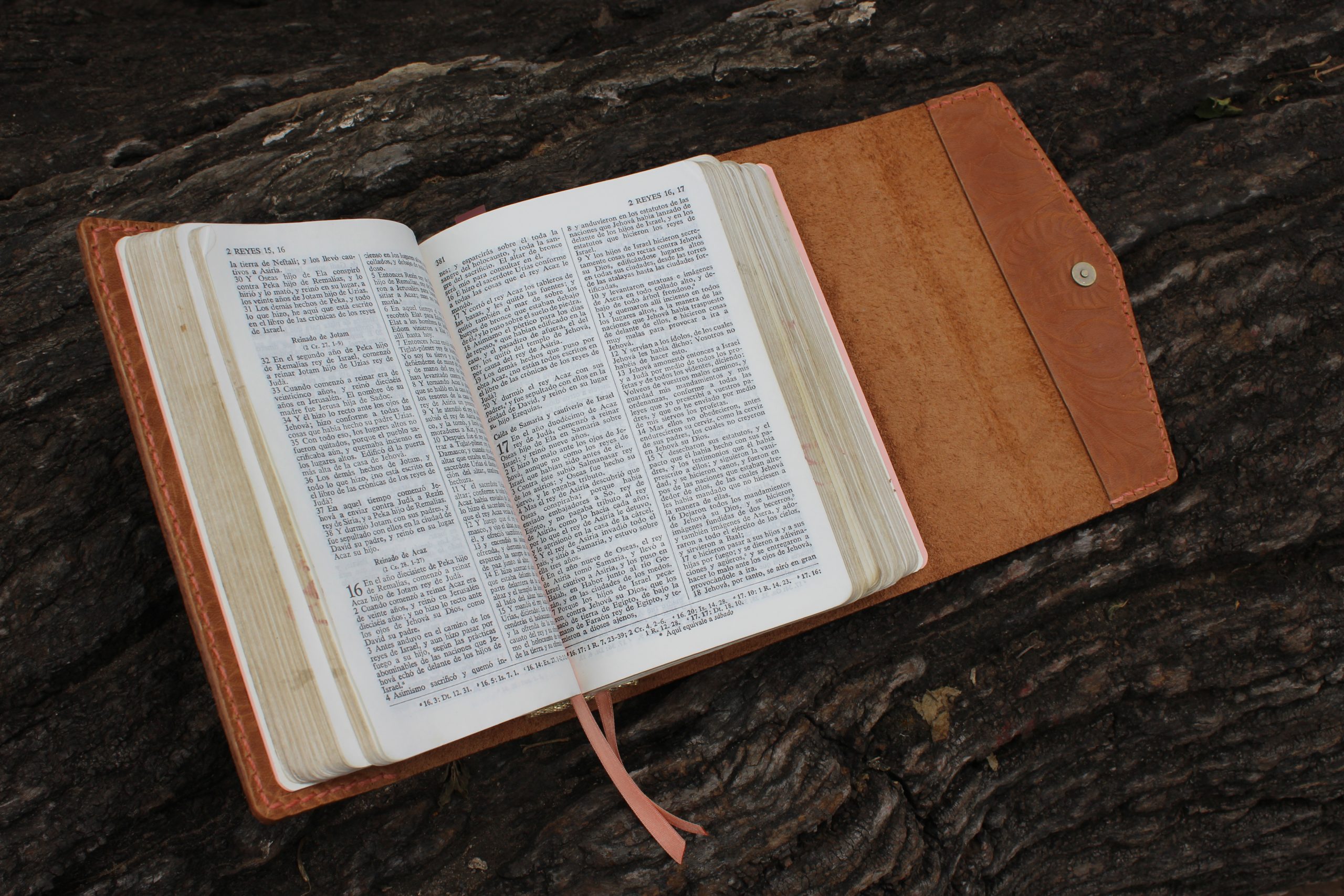CUBIERTA ANA BIBLIA PEQUEÑA - Imagen 6