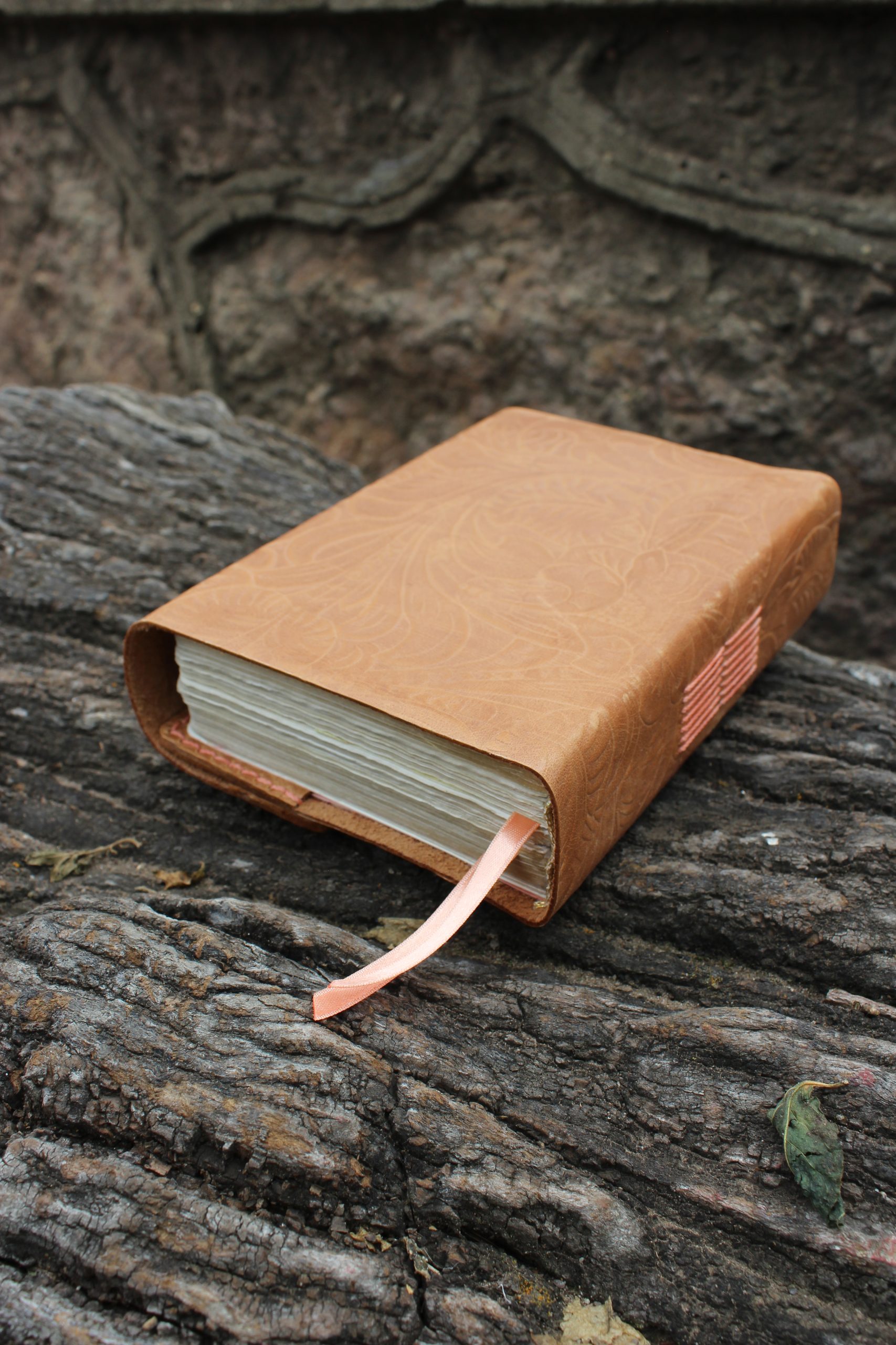 CUBIERTA ANA BIBLIA PEQUEÑA - Imagen 4